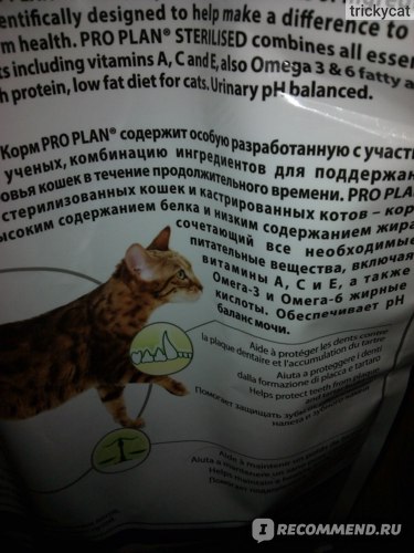 Обзор корма для кошек Advance