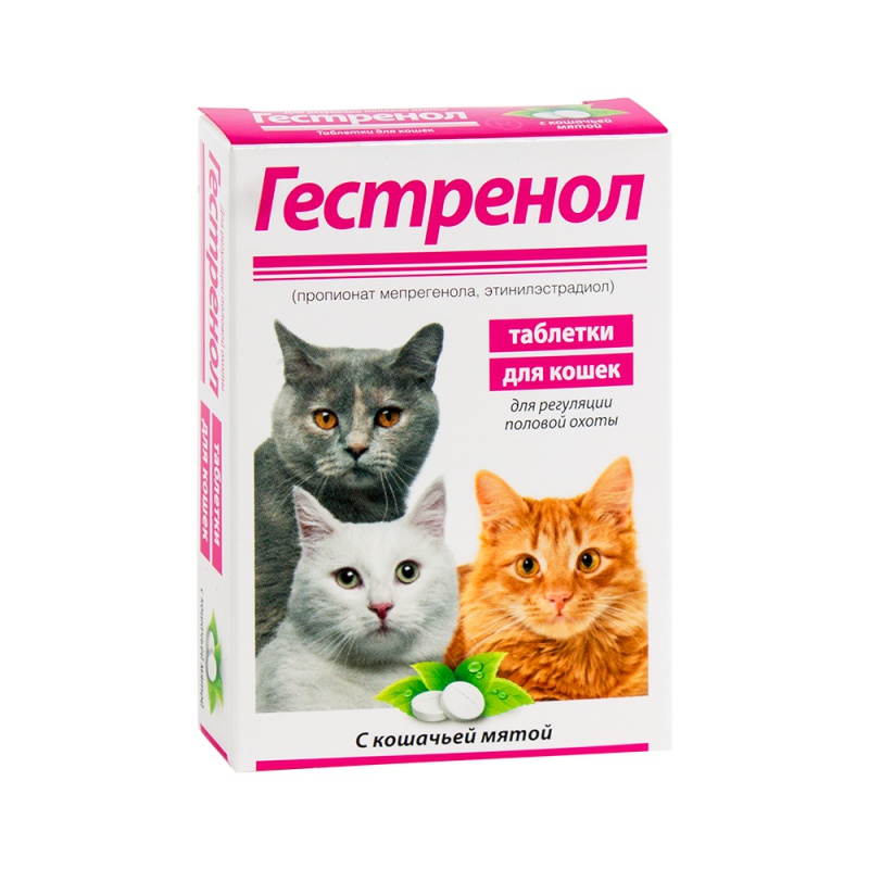 Таблетки против кошек. Гестренол для котов, 10 табл.. Гестренол таблетки для кошек. Противовоспалительное для кошек. Лекарство для кошек от гуляния.