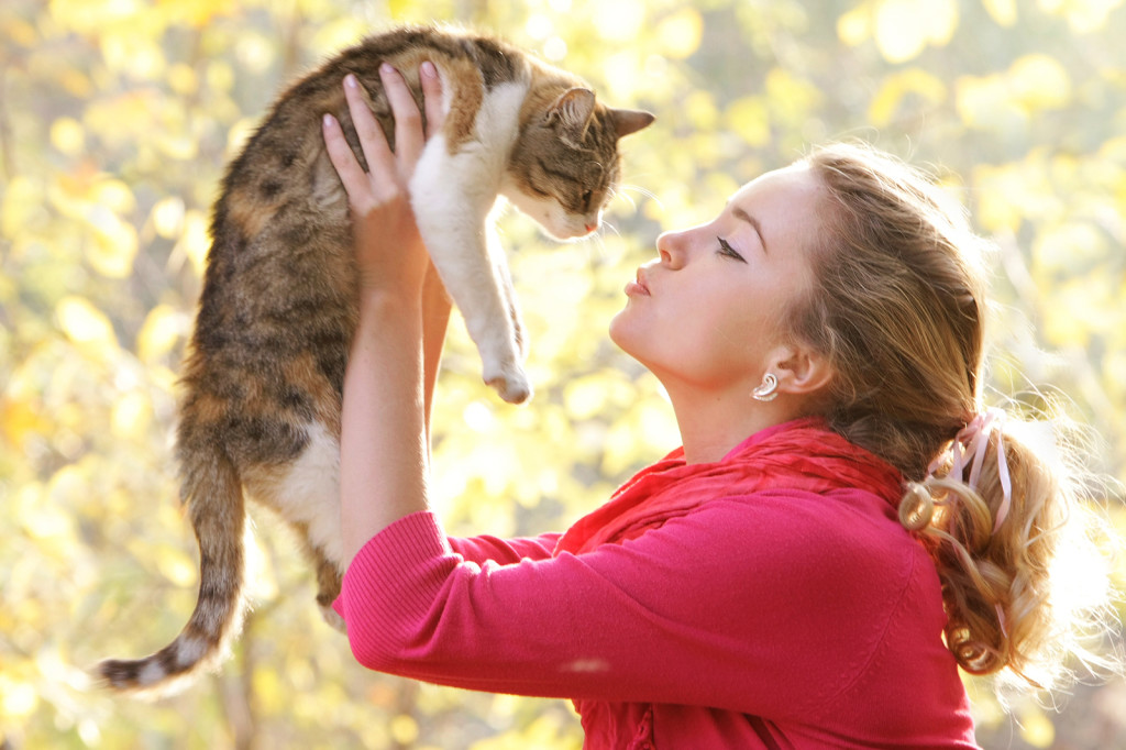 Как правильно хвалить кошку за хорошее поведение