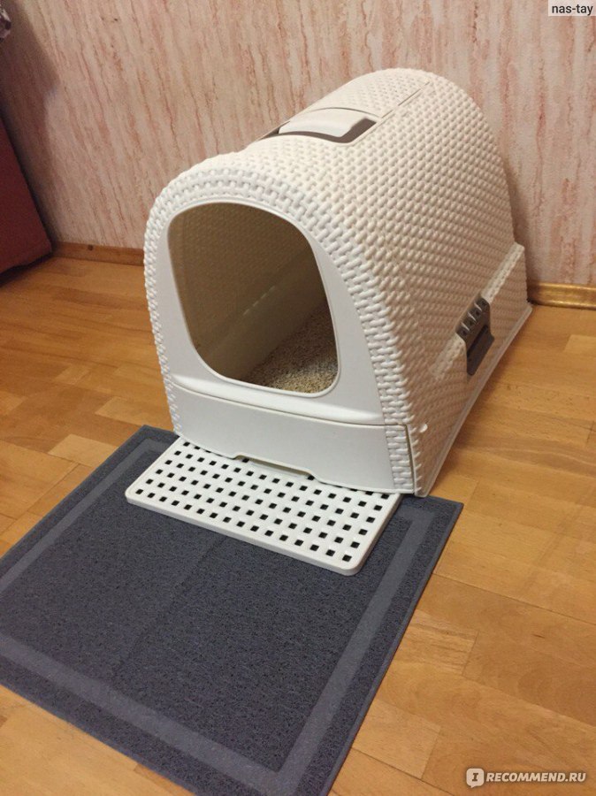 Туалет для кошек: закрытый угловой лоток