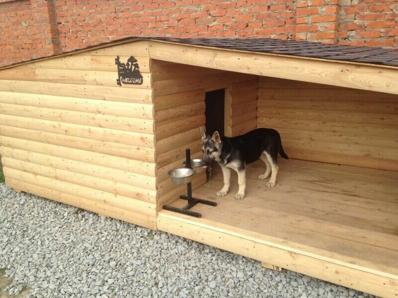 Как построить будку для собаки своими руками?