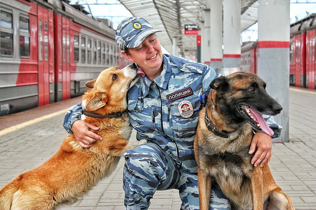 Международный день собак в России: какого числа