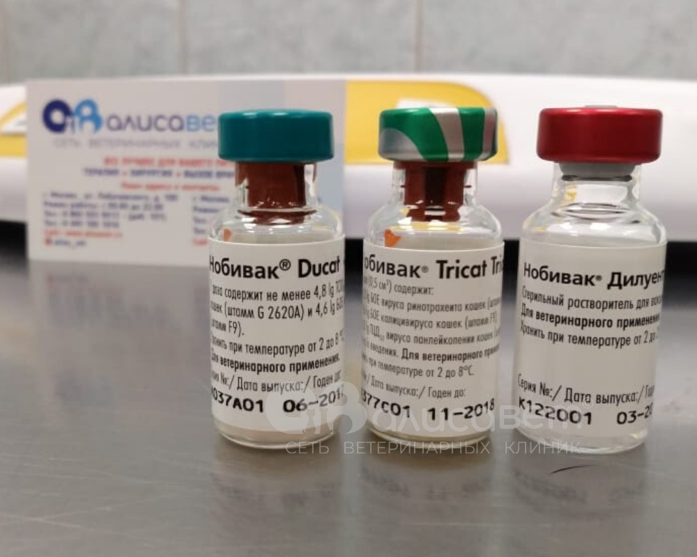 Инструкция по применению вакцины Нобивак