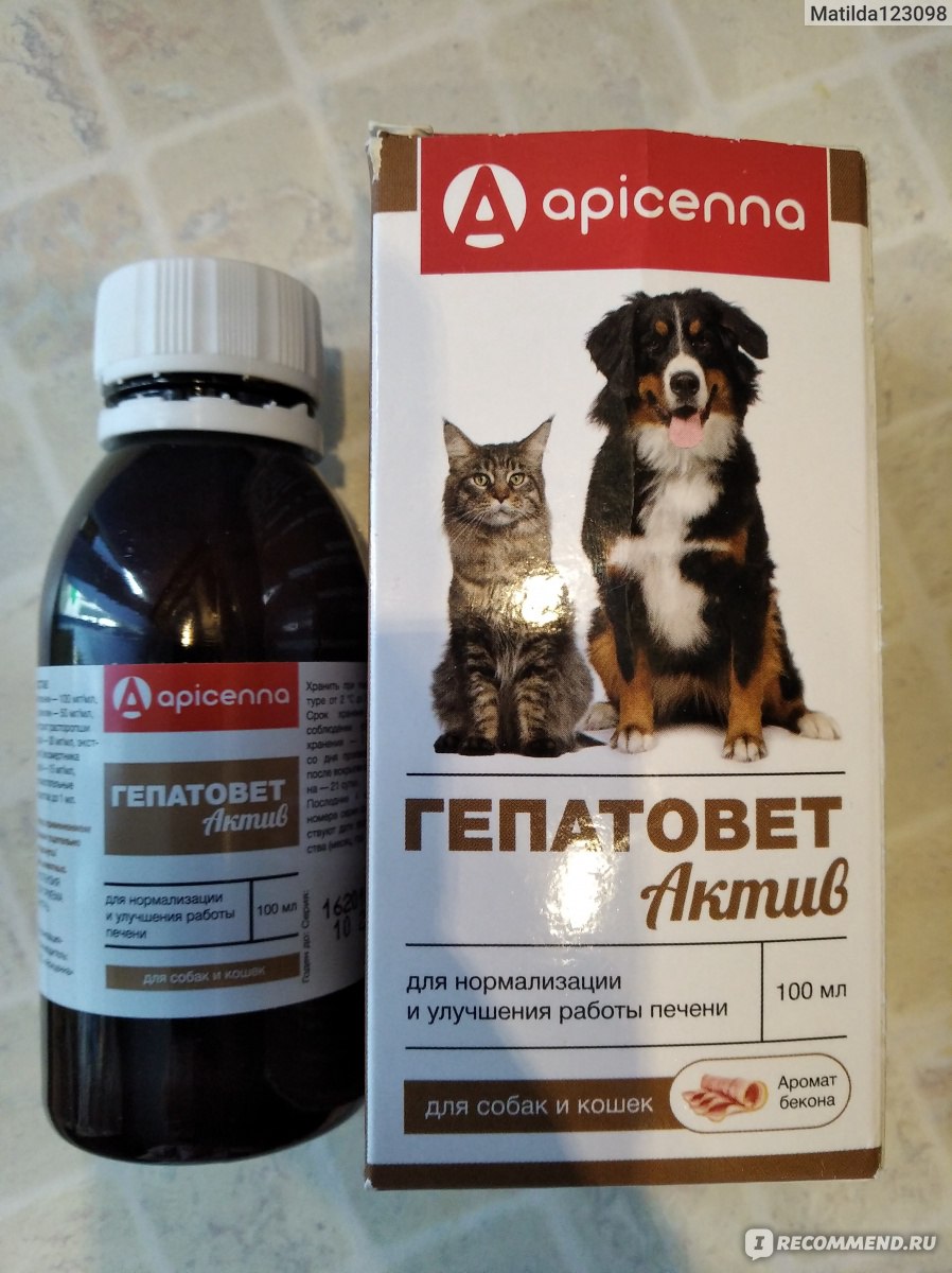 Описание ветеринарного препарата Гепатовет