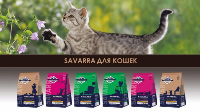 Корм Savarra для кошек