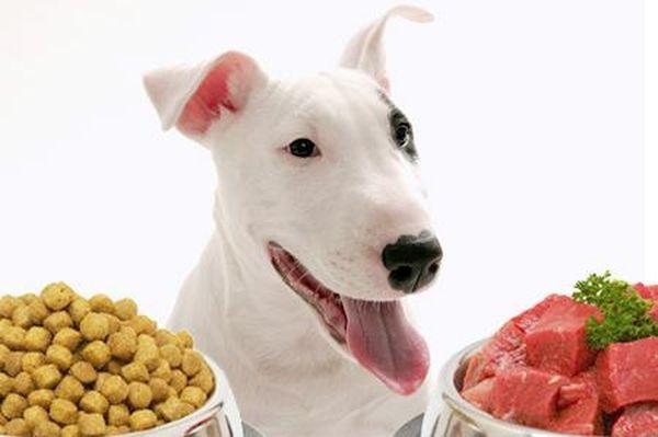 Субпродукты для собак: сколько варить вымя говяжье
