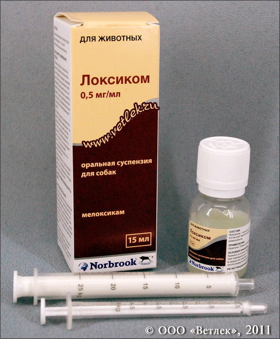 Инструкция по применению Локсикома для кошек