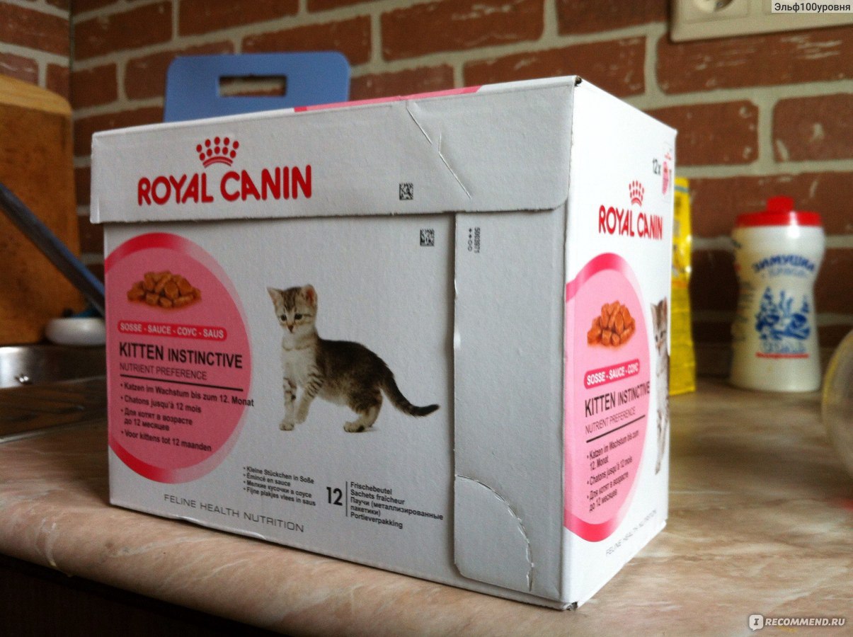 Роял Канин для кошек и котят: обзор всей линейки