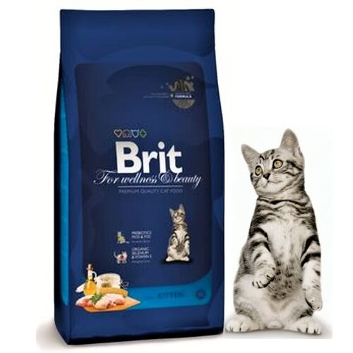 Сухие корма для кошек Brit: сравнение линеек Premium и Care