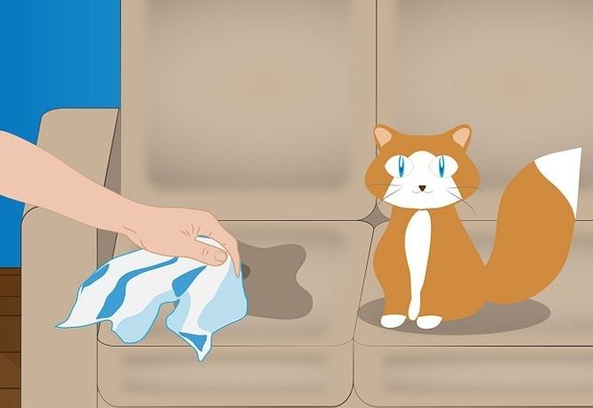 Как избавиться от запаха кошачьей мочи: примеры народными средствами и другими
