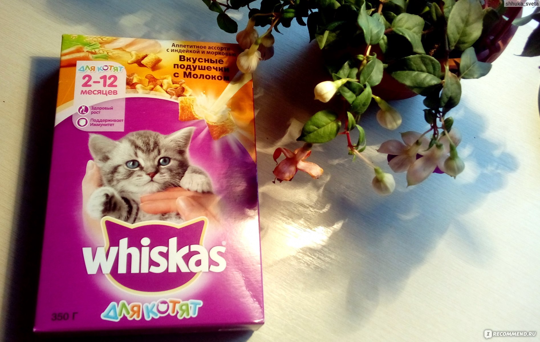 Особенности корма Whiskas для кошек