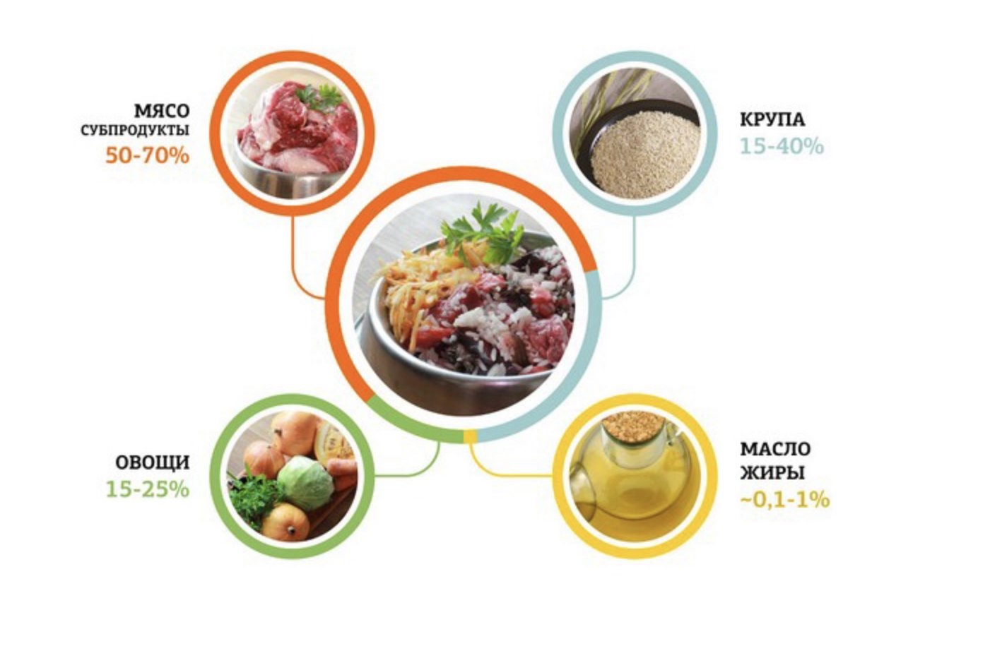 Можно ли кормить собаку кашей с тушенкой