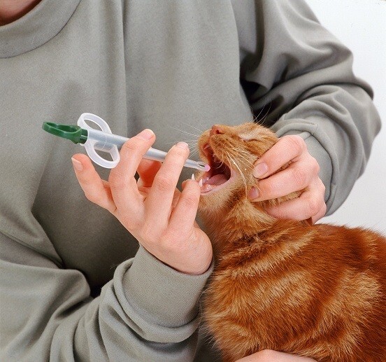 Таблеткодаватель для кошек