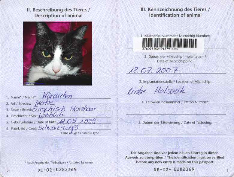 Паспорт для кошки: как сделать кошачий ветеринарный документ