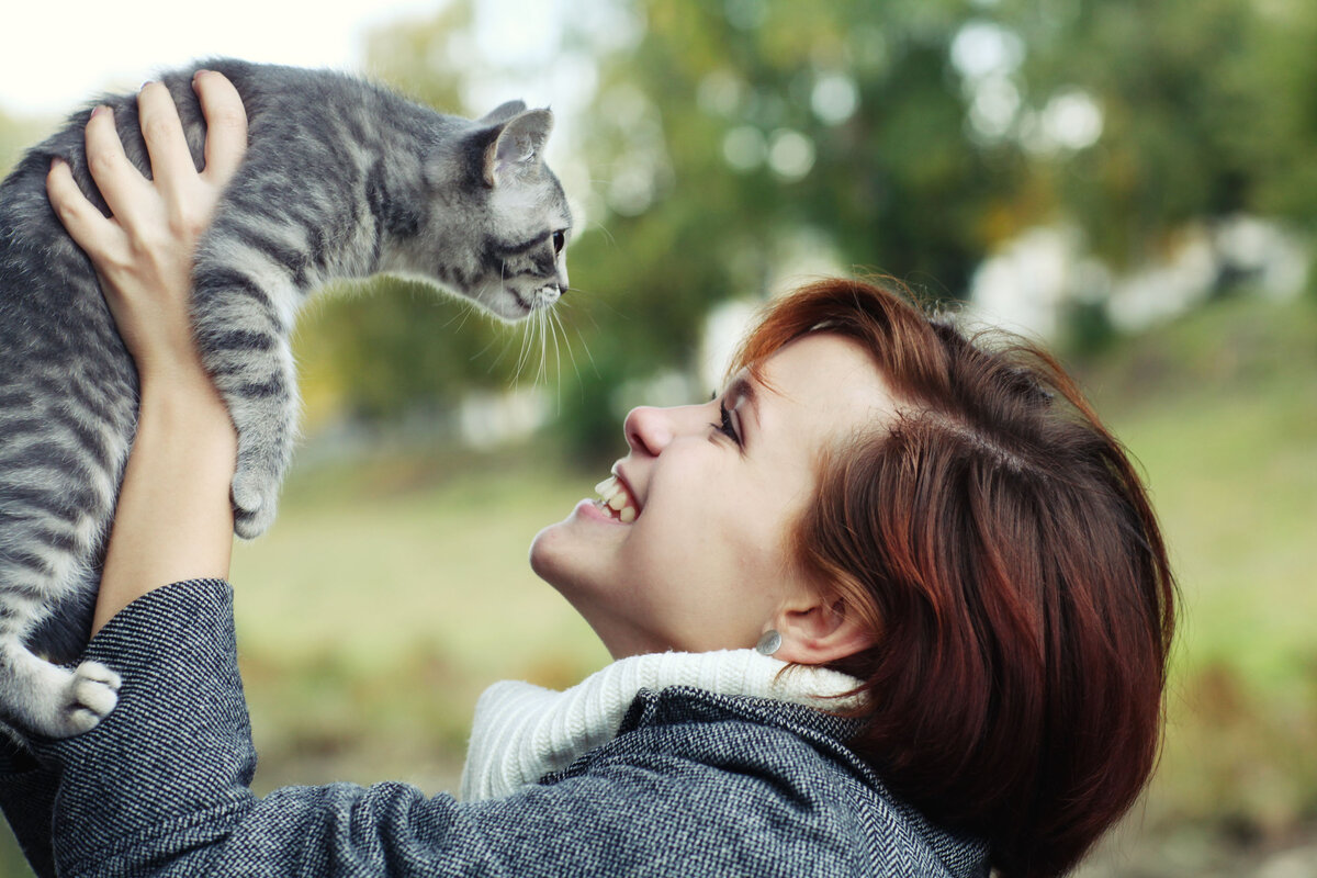 Почему некоторые кошки «разговорчивы» с хозяевами, а некоторые молчаливы