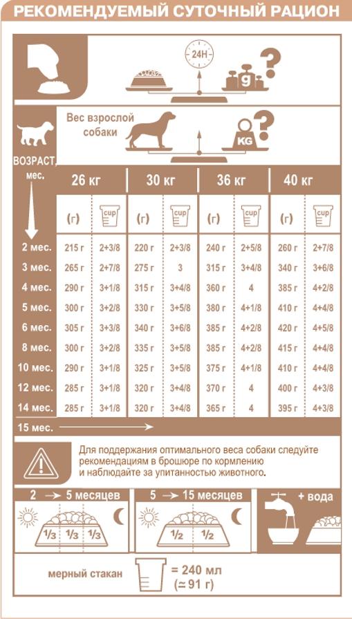 Вес немецкой овчарки по месяцам: таблица