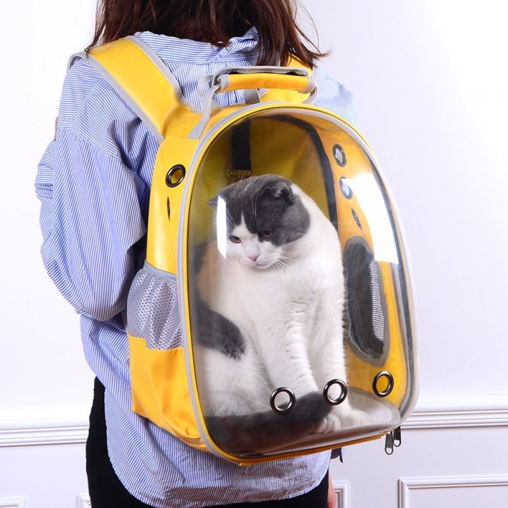 Переноска для кошек: варианты в виде рюкзака или как сделать своими руками