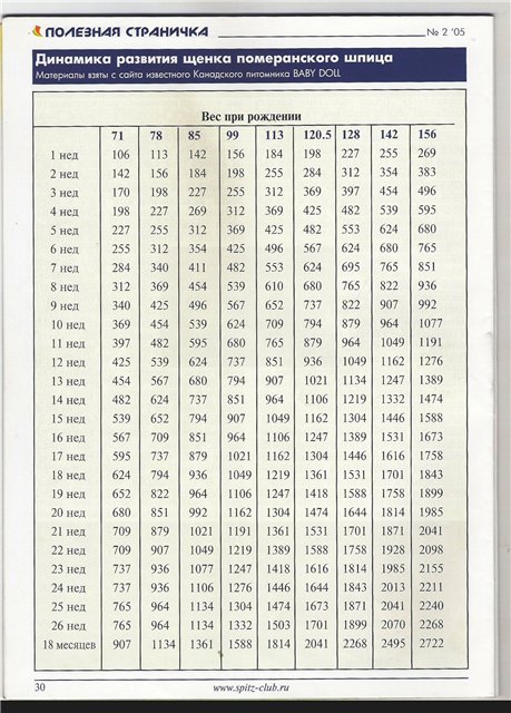 Таблица веса чихуахуа по месяцам. Вес щенка шпица по месяцам таблица. Вес щенка шпица в 3 месяца таблица. Таблица веса щенков померанского шпица. Вес щенка шпица в 2 месяца стандарт.