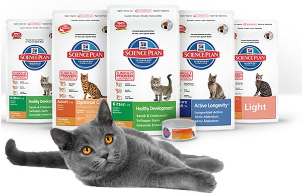 Корм Хиллс для кошек: состав ветеринарного лечебного кормления