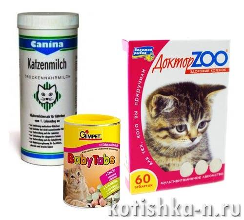 Как выбрать витамины для кошек и котов?