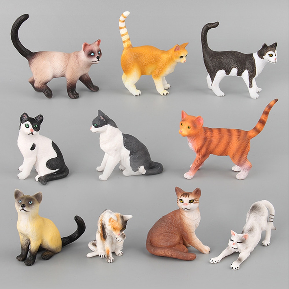 7 игрушек, которые должны быть у каждой кошки