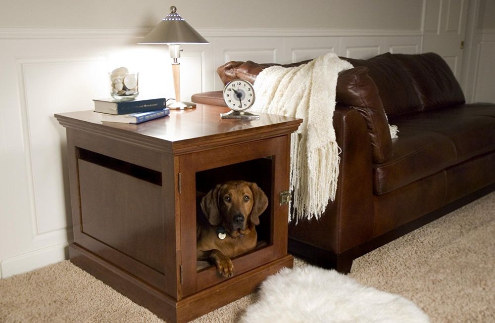 Как не подпускать собаку к мебели