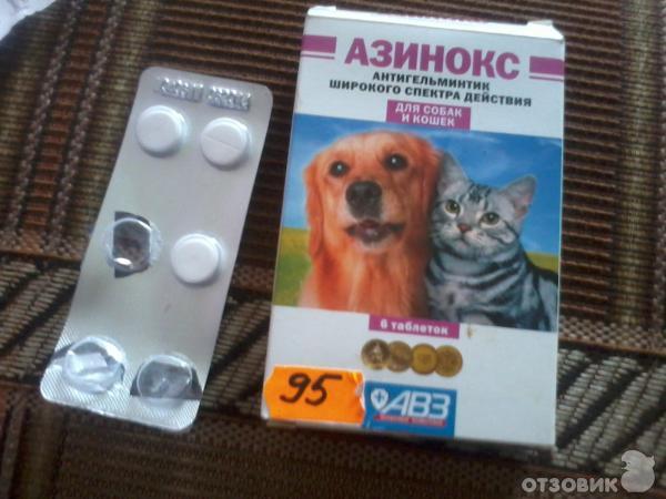 Азинокс для кошек: как бороться с гельминтами