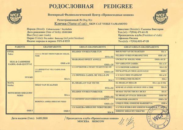 Зачем кошке родословная?