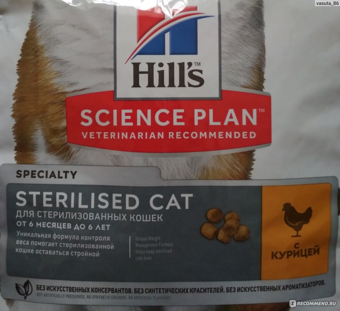 Ассортимент и особенности корма для кошек «Хиллс»