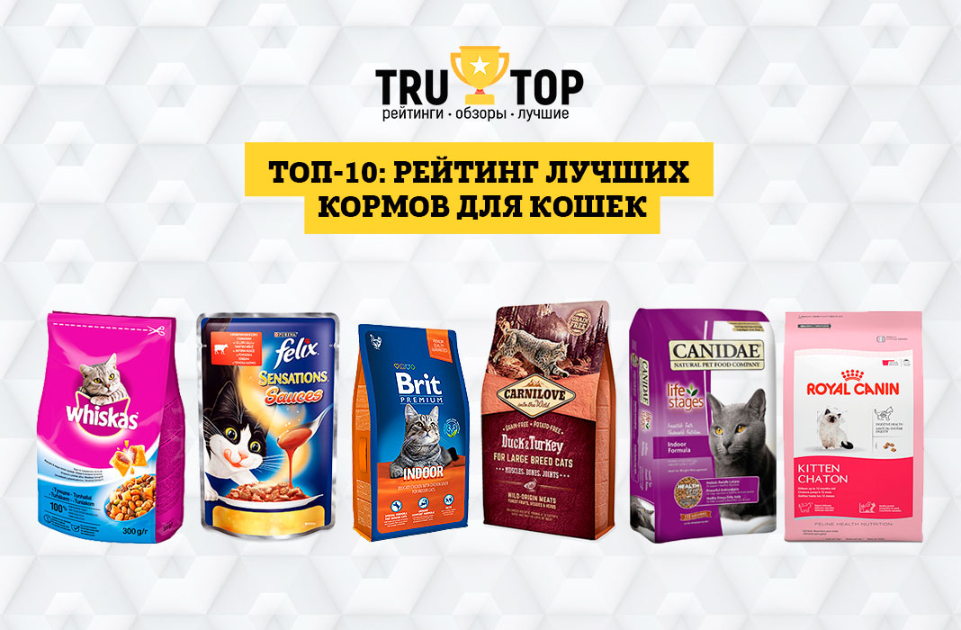 Как правильно выбрать корм для котёнка