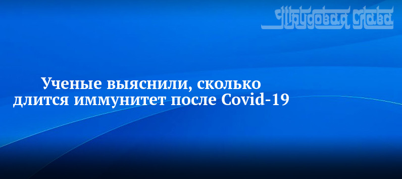 Карантин после прививки от бешенства у собак