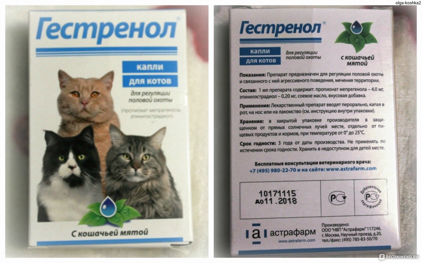 Капли для кошек от гуляния, таблетки, антисекс