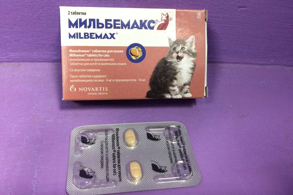 Обзор ветеринарного препарата Мильбемакс