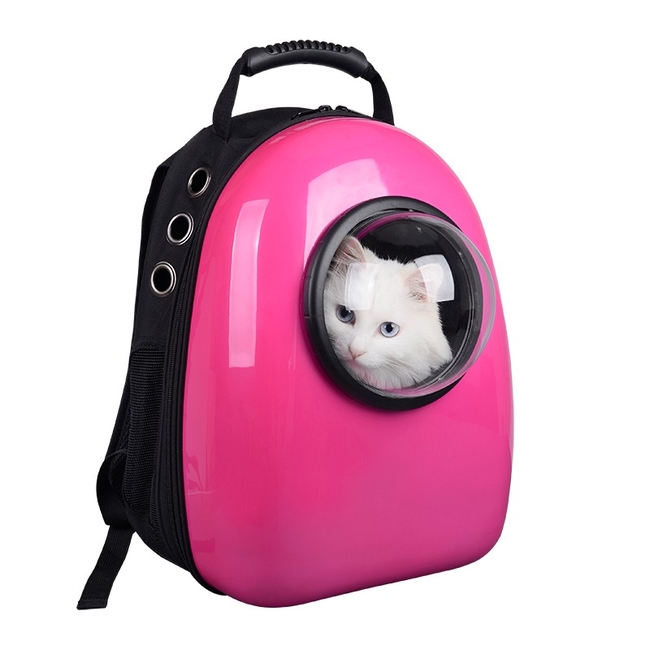 Переноска для кошек: варианты в виде рюкзака или как сделать своими руками