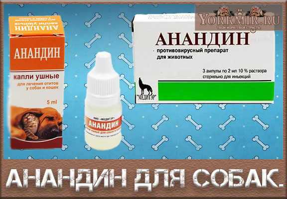 Анандин для собак
