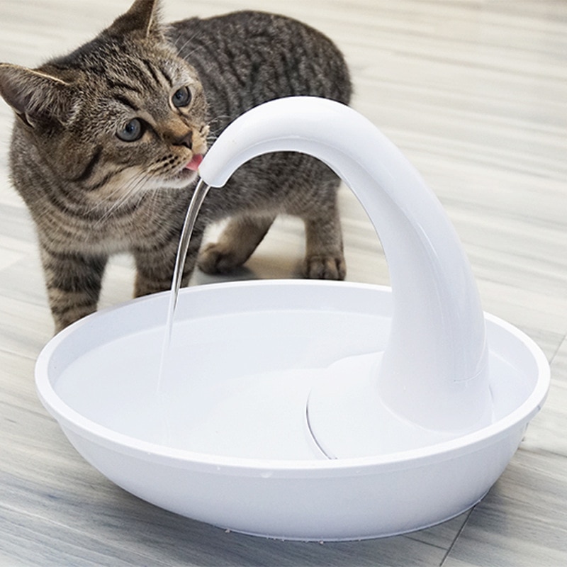 Поилка для кошек: автоматический фонтанчик своими руками