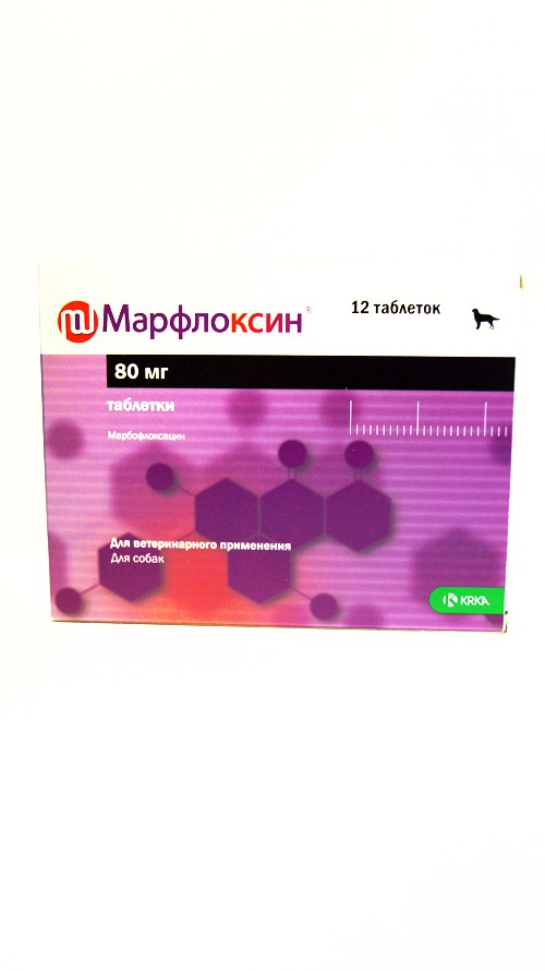 Препарат Марфлоксин: помощь в борьбе с инфекционными заболеваниями у кошек