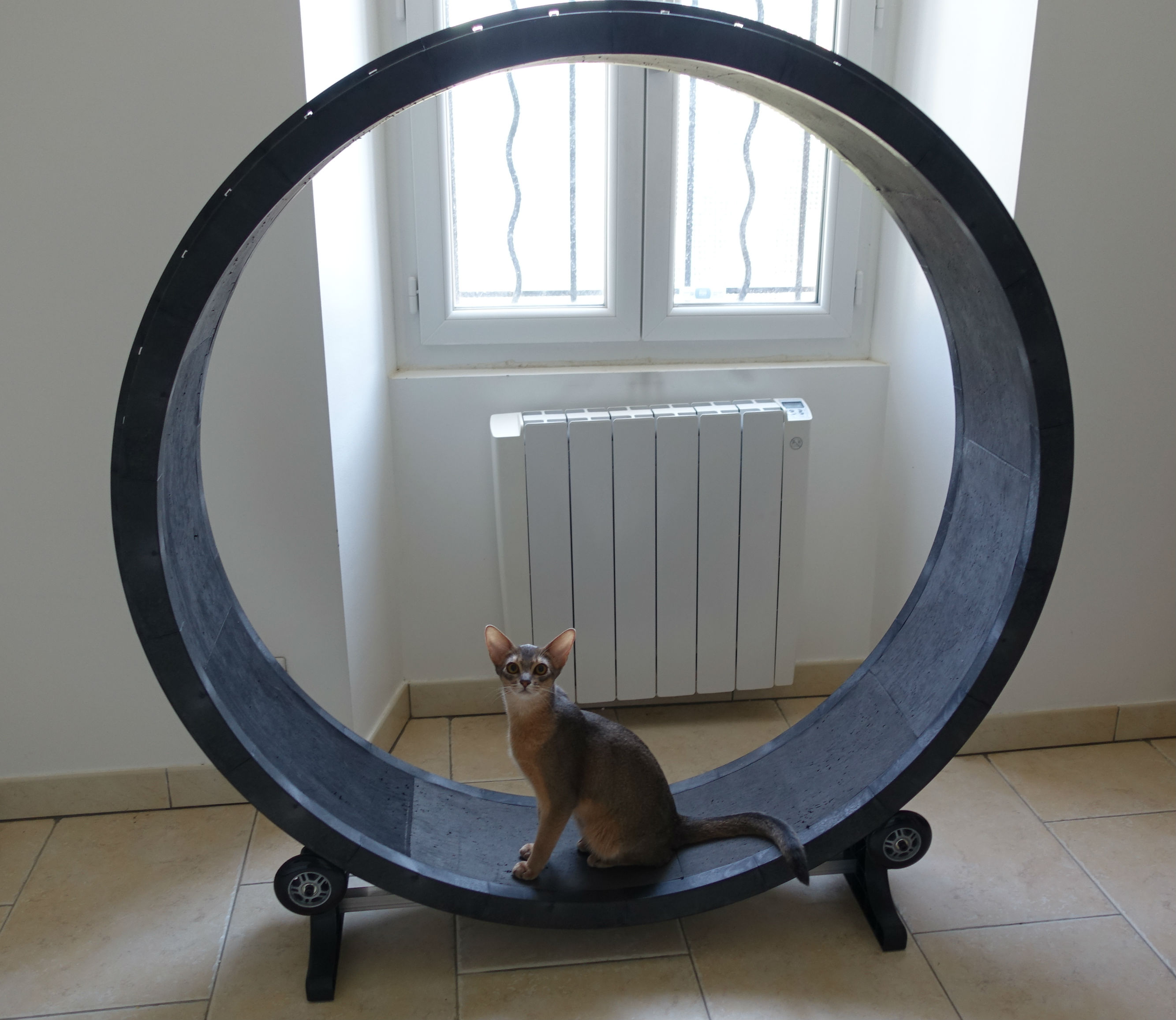 Беговое колесо для кошек своими руками