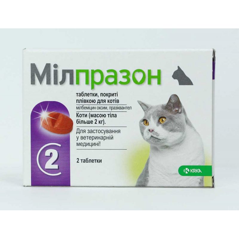 Таблетки от глистов для кошек и котов