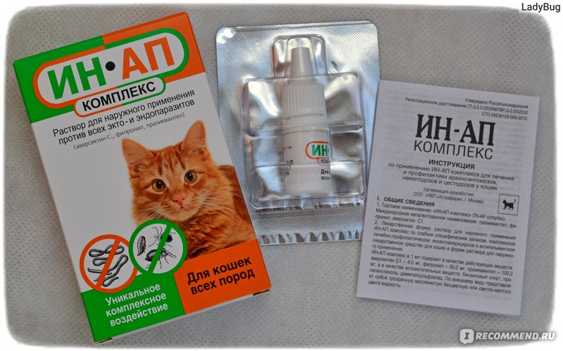 Ин-Ап Комплекс для кошек: защита питомцев от всех паразитов