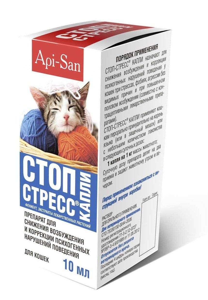 Эффективные снотворные препараты для кошек