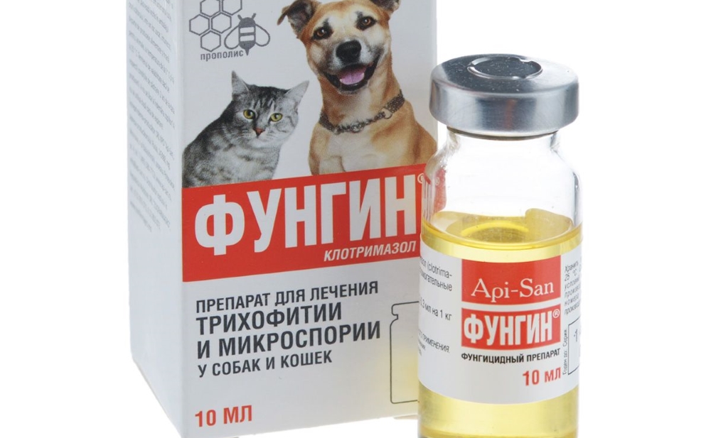 Стригущий лишай у кошек: лечение, вакцина, народные средства