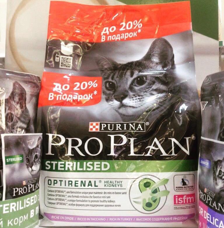 Обзор корма «Проплан» от «Пурина» для кошек