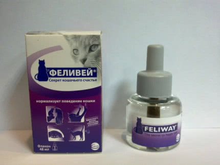 Препарат Феливей: помощь в коррекции поведения кошки