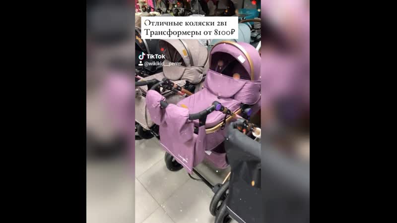 У кошек и котов год за сколько идет