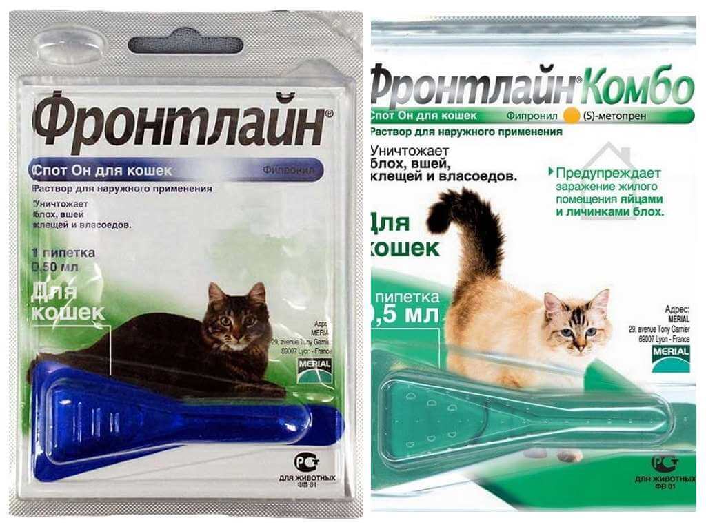 Таблетки от блох для кошек: преимущества и недостатки
