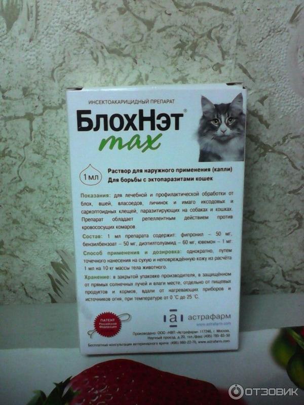 Таблетки от блох для кошек: преимущества и недостатки