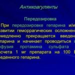 Как померить температуру кошке в домашних условиях