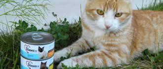 Гипоаллергенные корма для кошек