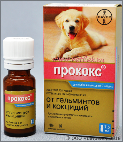 Прококс для собак